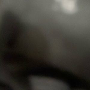 Meet your Posher, Adrian